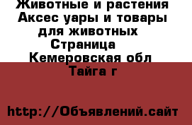 Животные и растения Аксесcуары и товары для животных - Страница 3 . Кемеровская обл.,Тайга г.